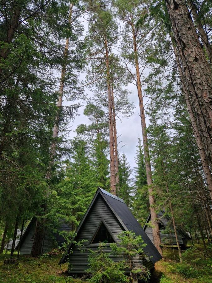 Liivakortsi Kaemping Hotell Romeda Exteriör bild